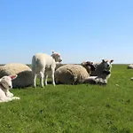 Сasa de vacaciones Eulenhaus *