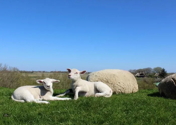 Casa de Férias Eulenhaus
