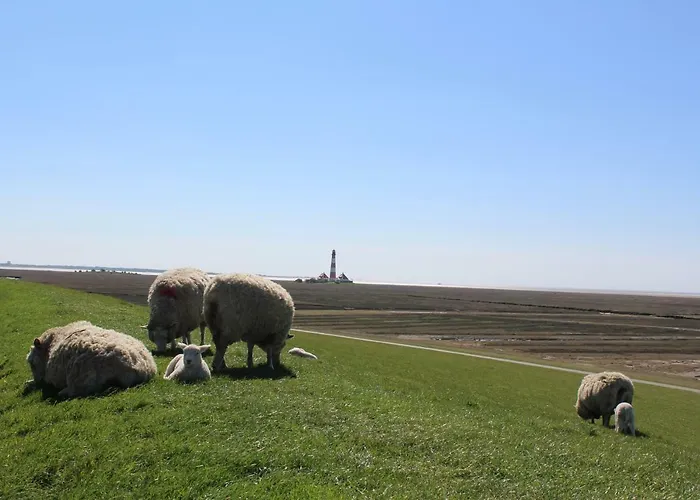 Casa de Férias Eulenhaus
