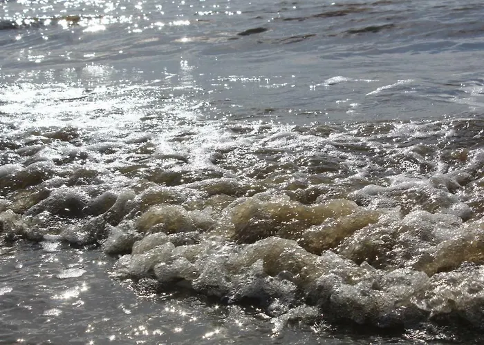 Eulenhaus Osterhever