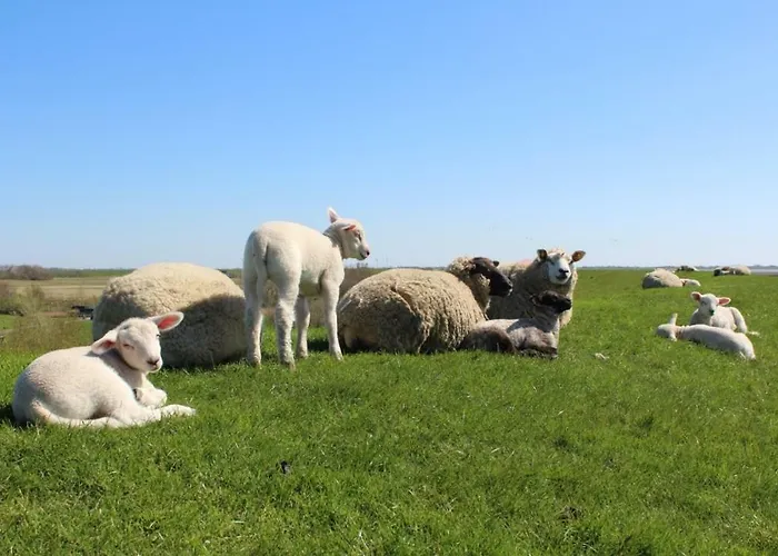 Casa de Férias Eulenhaus *