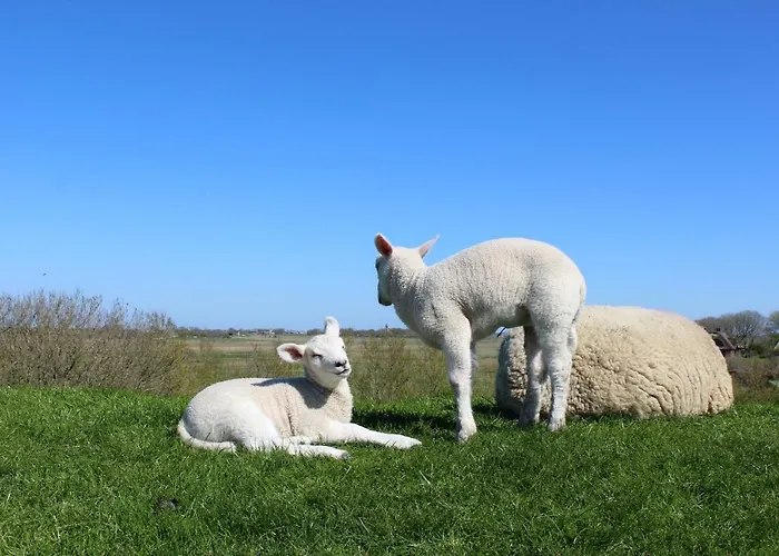 Casa de Férias Eulenhaus Osterhever